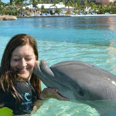 JuliaP130's profile picture. Mom, wife, aunt, baby whisperer, Middle School educator, Dylan's Bird, purveyor of kindness #pennoyerpride