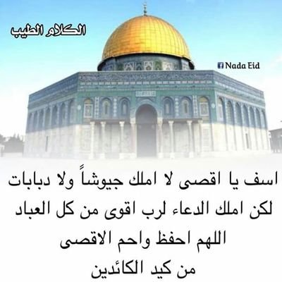 ahmed152004's profile picture. ‏‏🌴الحمد لله على نعمة الاسلام وكفى بها نعمه🌴