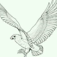 γ―γ·γγπ¦
(@kgtk0119) 's Twitter Profile