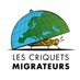 Criquets Migrateurs 🦗 (@cmigrateurs) Twitter profile photo Criquets Migrateurs 🦗 (@cmigrateurs) Twitter profile photo