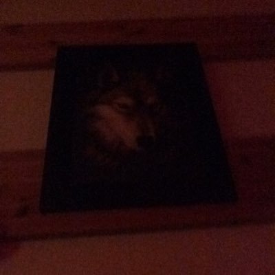 nilsen_tom's profile picture. I fra før og nu å veien videre hele live