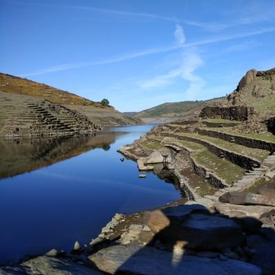 Phelpercet's profile picture. 