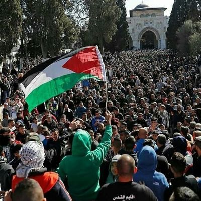 roaring10000's profile picture. ‏‏‏‏‏مسلم سني فلسطيني ضد الحزبية، ولارفعة للمسلمين الا بالعودة لماكان عليه الصدر الاول للاسلام(القدس إسلامية لاعبرية).