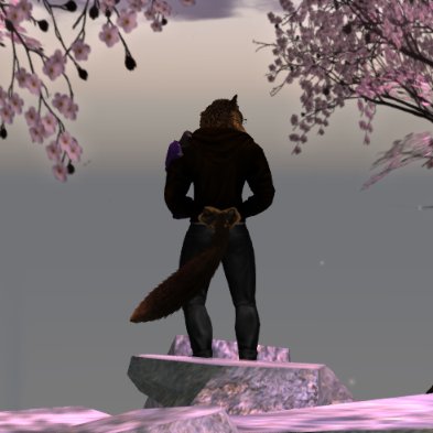 calmagill's profile picture. 