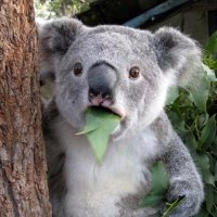 Mark (@tallismorgan) 's Twitter Profile
