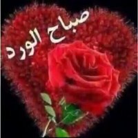 فارس (@onvsol8bja2tncw) Twitter profile photo