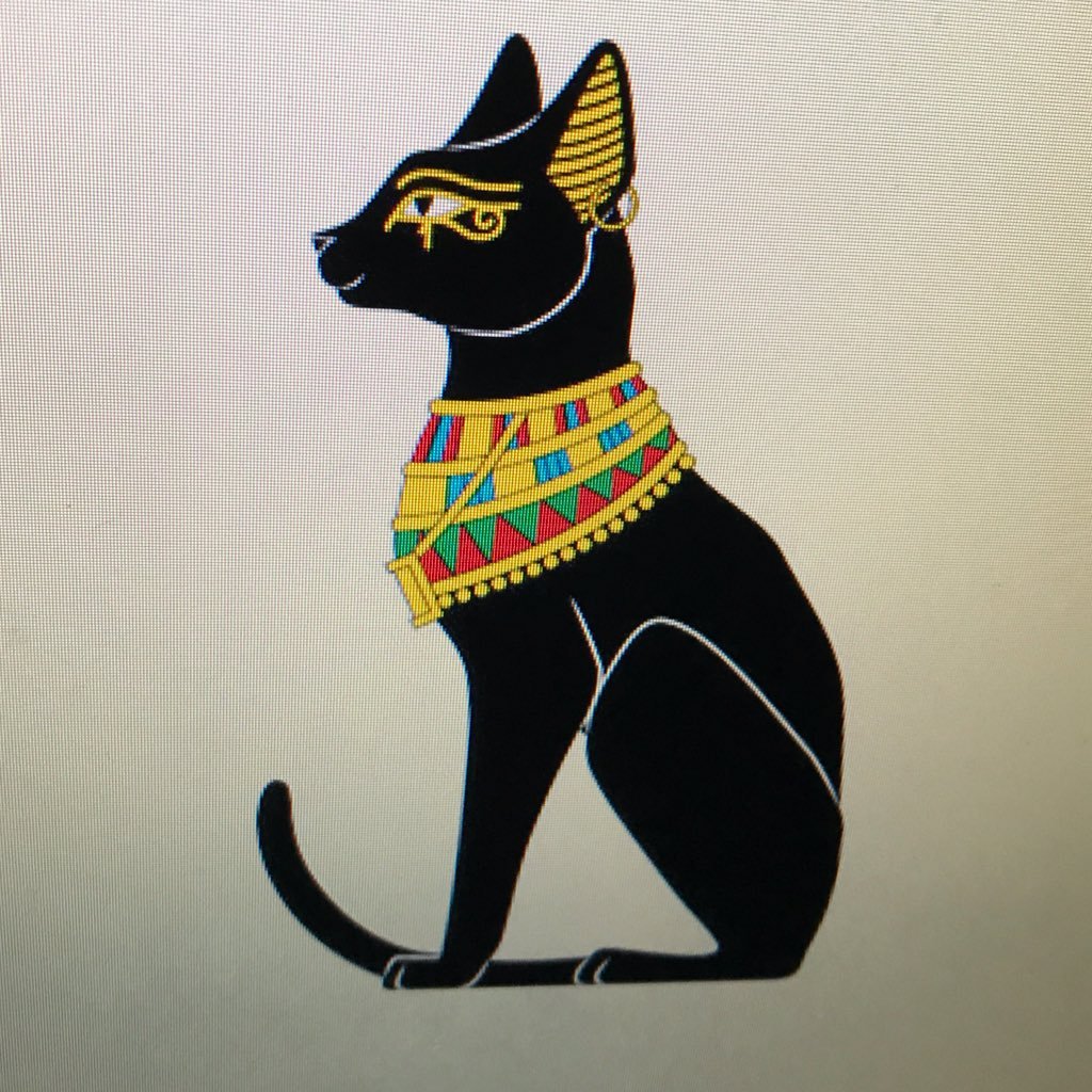 amystarcher2's profile picture. Ireland Forever!!