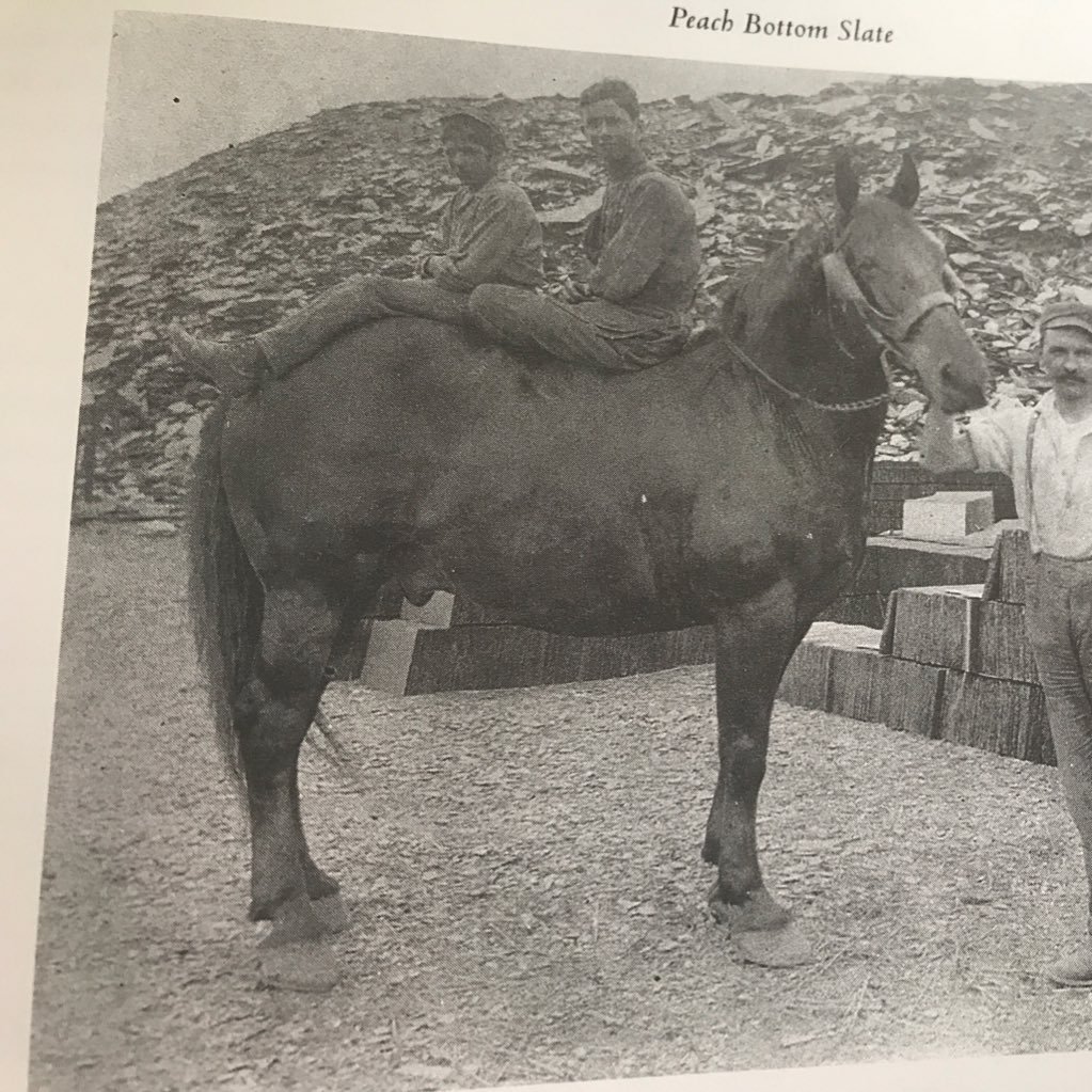 sadmathteacher's profile picture. 