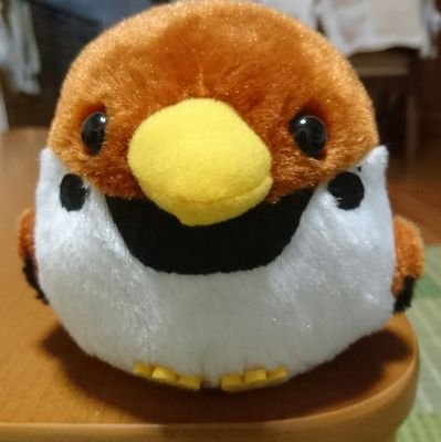 fukufuku2810's profile picture. 猫、動物大好きです。空、雲自然も大好き。よろしくお願いします。２１才の🐢がいます。命はみんな愛しいです。可愛い子たちが虹の橋を渡ってゆく度にペットロスになりました。ベーチェット病完全型、神経型、パニック障害、鬱、身障４級闘病中です。皮膚筋炎も発症した模様。動物の命を大切にする世界にしたいです。