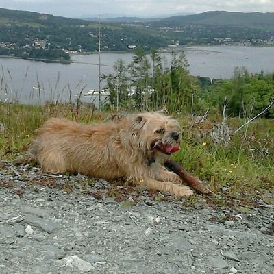 kharkness13's profile picture. 