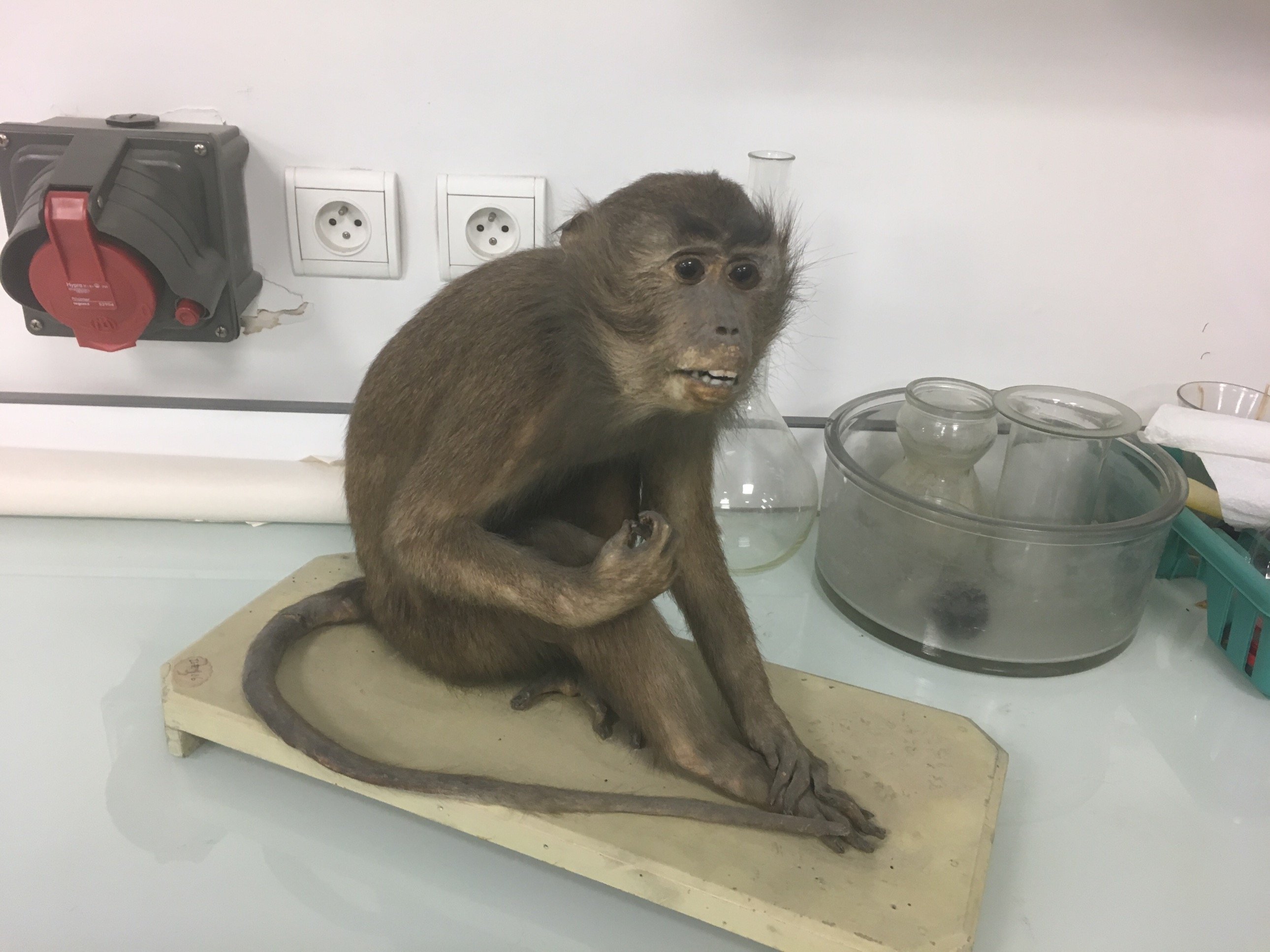 FrankHistorian's profile picture. Historian
All views represented are my own personal views.