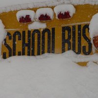 Blue Collar Workers (@countysbest1) 's Twitter Profile Photo