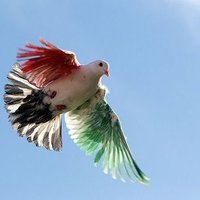 انوار جابر الأحمد (@ajas) 's Twitter Profile
