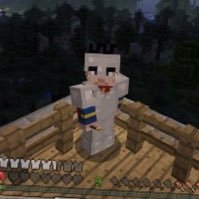 マイクラ/荒野行動/基本無言フォローです🙏