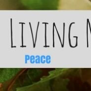 Hi ! I am Nikki and welcome to my new adventure… blogging about the things that bring me peace, allow me to breath and explore!