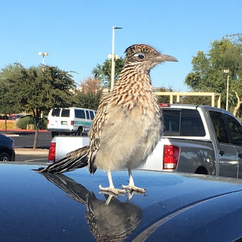 megan_livingood's profile picture. 