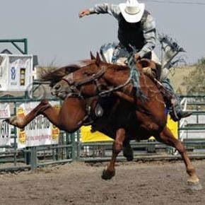 JStratton10's profile picture. Let the cowboys be cowboy bound