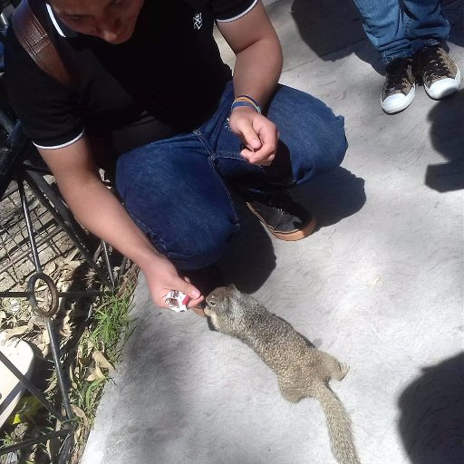 3zEddie's profile picture. Pensador de pensamientos