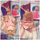 Haya (@1957_Haya) Twitter