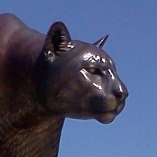 Pullman WA Updates Profile