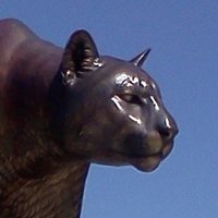 Pullman WA Updates (@pullmanwa) 's Twitter Profile