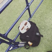 はづき (@hazuki441) 's Twitter Profile