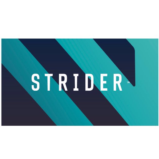 Strider Technology