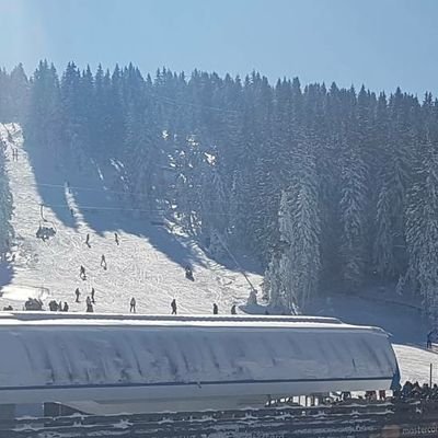 Aleksan25529057's profile picture. 