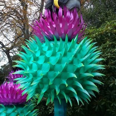 jennyhelenduffy's profile picture. 