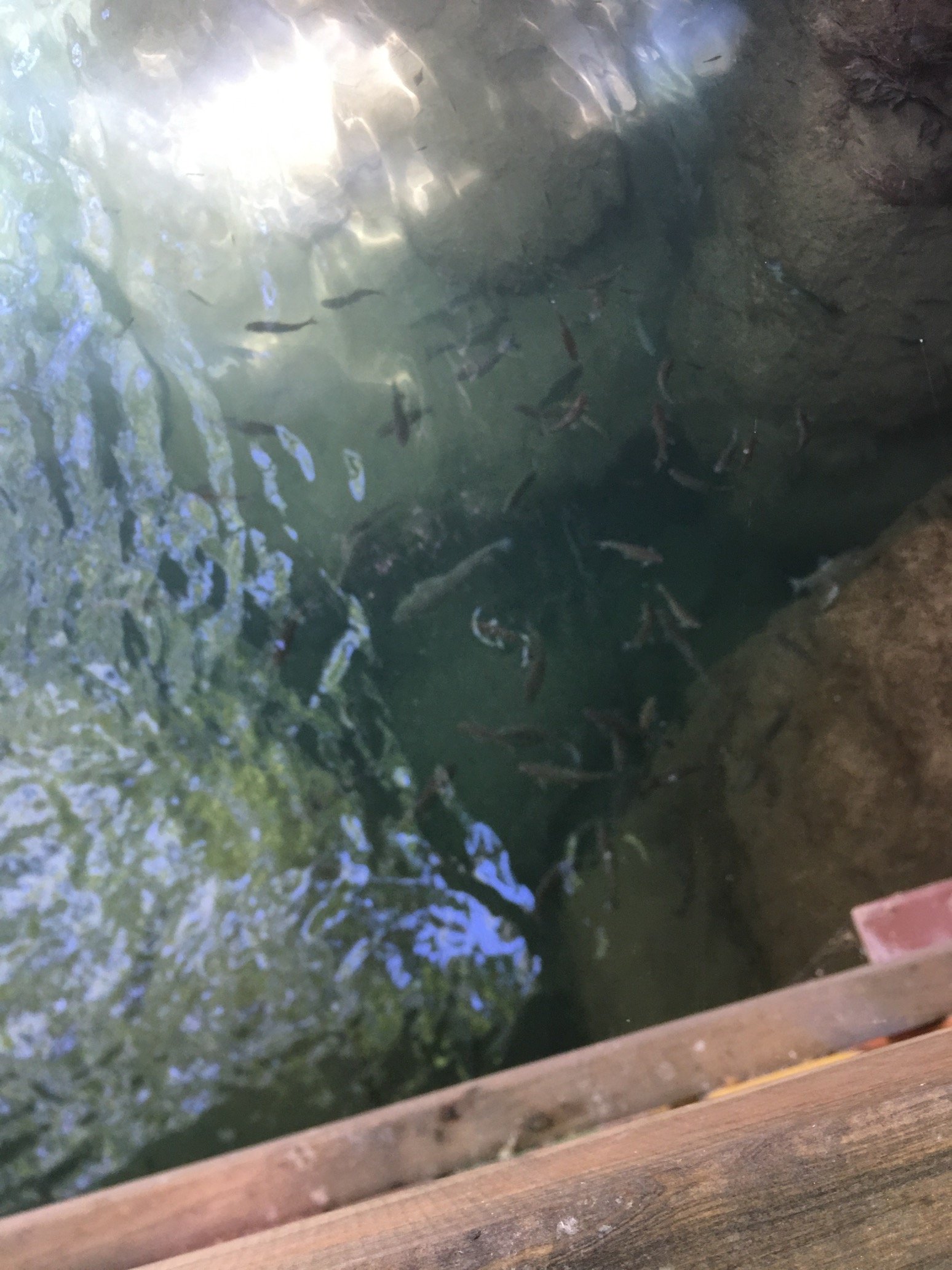 zauriel46's profile picture. 