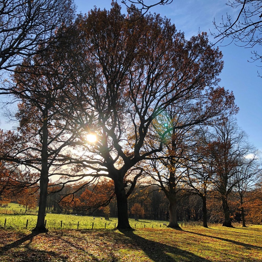 philipdavidge's profile picture. 