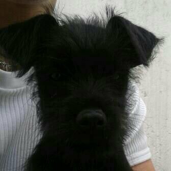 pabloportillag's profile picture. 