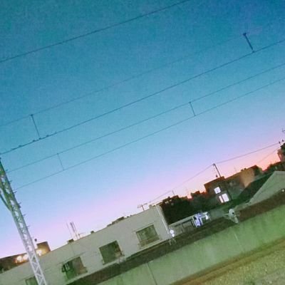 鼻糞さんのプロフィール画像