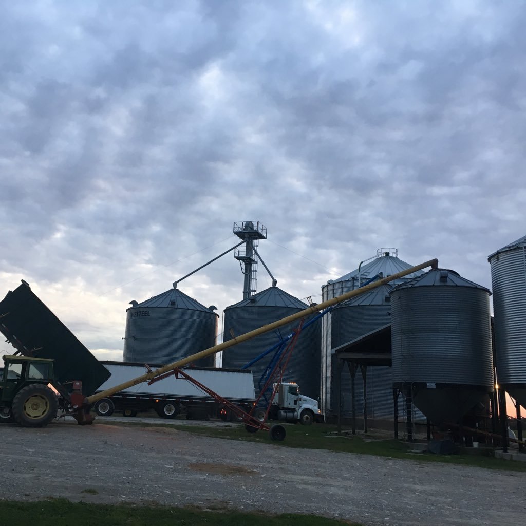 Half owner of Bowling Green Farms. A dairy, grain and oilseed production, licensed grain dealer and licensed elevator company in Amaranth Township.