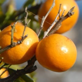 advance_models's profile picture. 笑顔で毎日過ごせたらいいね♪
45才・男