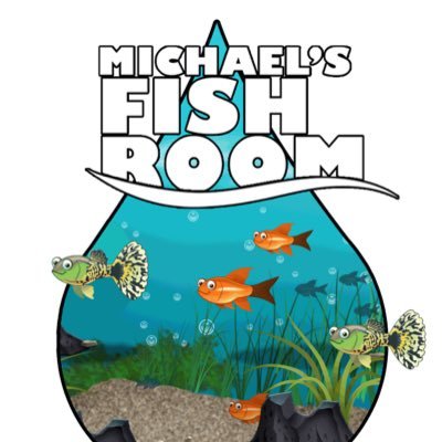 This is a place to talk #fish, see the fish that I am selling and to watch my #fishvideos. #MFR #GuppyNation #FishFam #FishCare #Aquarium #Guppyfish #Guppies
