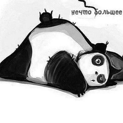 ZdviksYou's profile picture. 