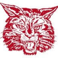 Newark Wrestling (@nhswildcat1) 's Twitter Profile