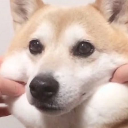 ていふじょさんのプロフィール画像