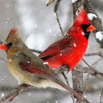 Jane61564016's profile picture. Just a crazy old chic who loves the positive things who is battling negative influences on a daily basis.
