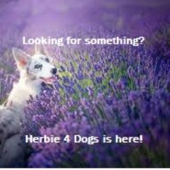 hand crafted organic herbal canine bath, body and mind products for Home Bathers and Groomers alike