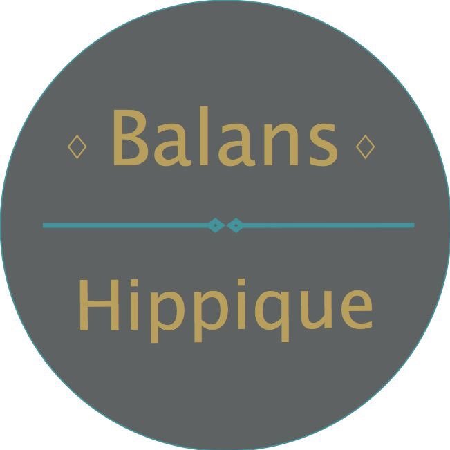 Balans Hippique is hét gezondheidsevenement voor paard en ruiter. Balans Hippique 2018 wordt 24 maart gehouden bij Hippisch Centrum Exloo