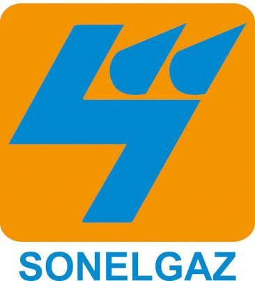 Sonelgaz, Société Nationale de l'ELectricité et du GAZ, est chargée de la production, du transport et de la distribution de l'électricité en Algérie.