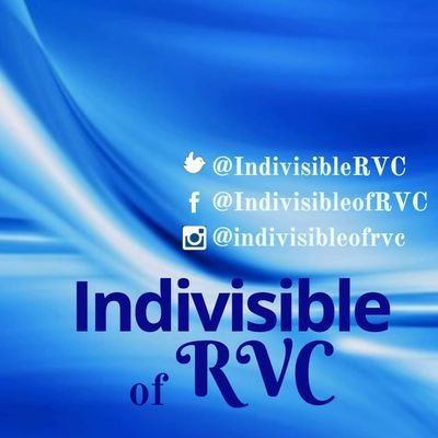 #Resist #Indivisible  #VoteNoInNov