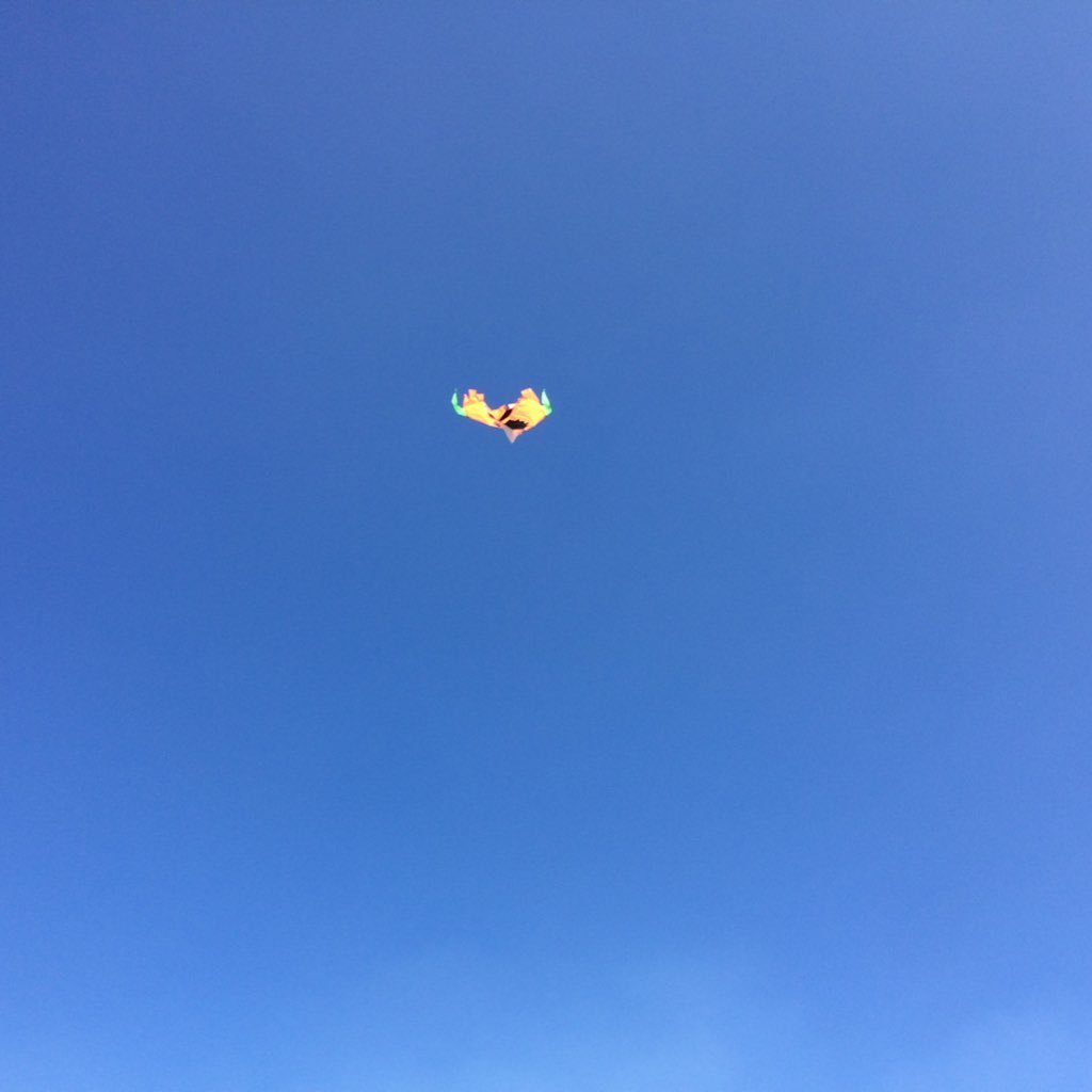 4toDann's profile picture. 