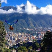 Mireille (@mirelis70) 's Twitter Profile