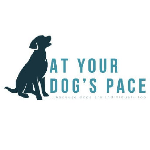 Canine behaviourist and trainer. Providing practical support and advice to dog owners in Chorley, Leyland and throughout Lancashire.