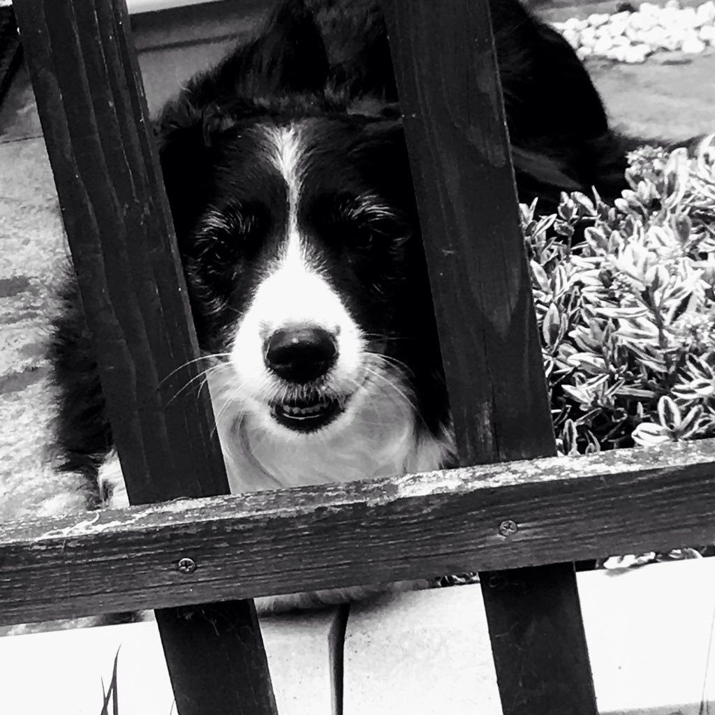 dspendy's profile picture. 