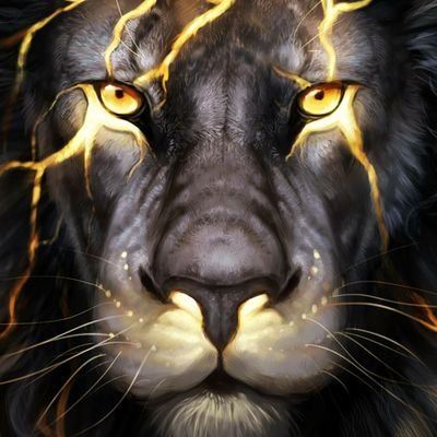 luisan0308's profile picture. 