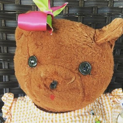 A Texas bear named Hope living in Honey Grove, a township of teddybears. We are happy to have global friends. https://t.co/nIGl3gxGes